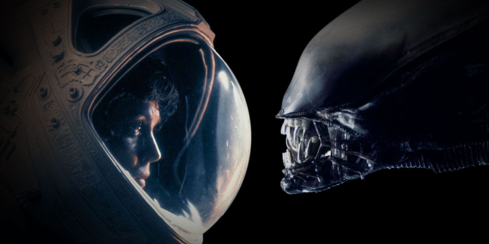 All the Alien Films Ranked | The Busybody